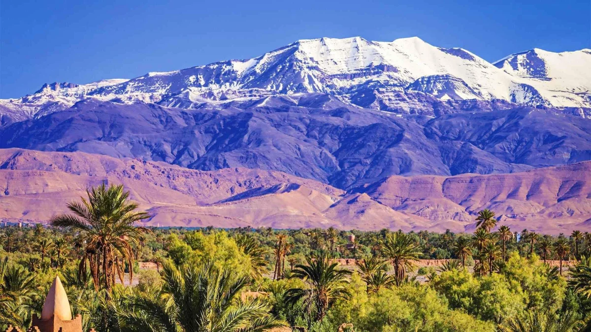 Clinique Olive Hill Marrakech - Soins Résidentiels des Addictions et Santé Mentale